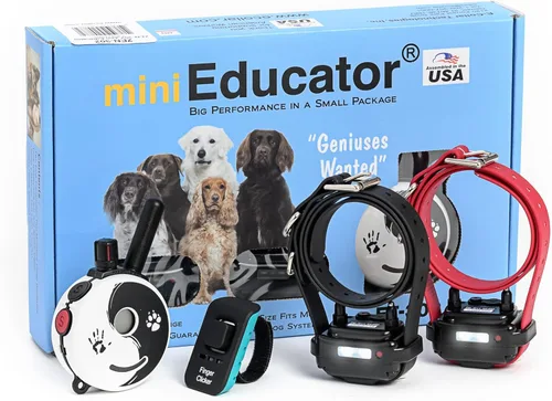 Vista 10 de Collar de entrenamiento para perro de Educator E-Collar , Amarillo 1/2 milla impermeable, 100 niveles de estimulación + vibración + luz + sonido