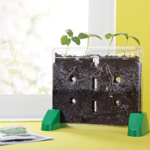 Vista 4 de Ventana Educational Insights, Sprout & Grow Window