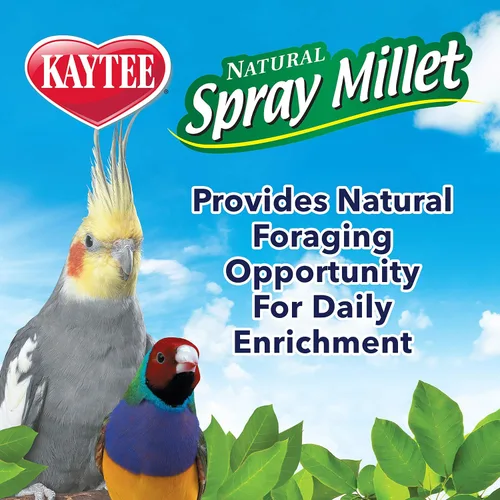 Vista 5 de Kaytee Spray Millet For Birds, 12 Count (Pack of 1) (El embalaje puede variar)