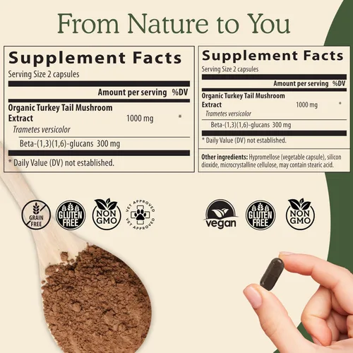 Vista 3 de Real Mushrooms Paquete de apoyo inmunológico, cognición y aumento del rendimiento, extracto orgánico de cola de pavo en polvo (1.59 oz) Melena