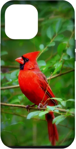 Vista 26 de Hermosa cardenal pájaro rojo escena de la naturaleza caso para iPhone 17