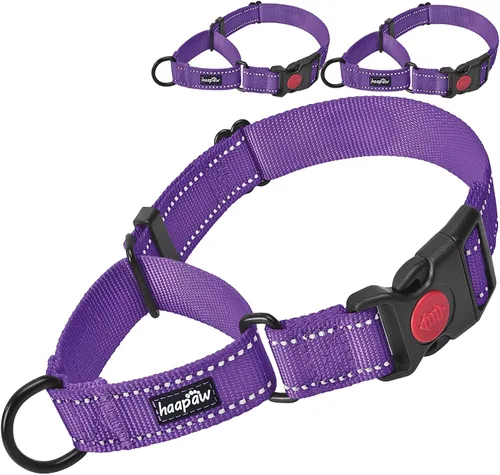 Vista 5 de haapaw Paquete de 2 collares de perro Martingale con hebilla de liberación rápida reflectantes para perros pequeños, medianos y grandes