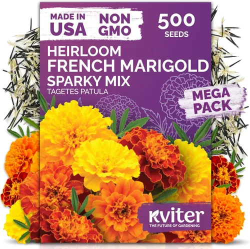 Vista 10 de KVITER 15,000 semillas de rosa musgo mixta para plantar (Portulaca grandiflora) – Cubierta de suelo con floración de reliquia, semilla de Portulaca