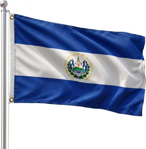 Vista 10 de DMSE - Bandera nacional beninesa beninesa de la República de África Occidental, 2 x 3 pies, 100 % poliéster, 100 % poliéster, resistente a los rayos