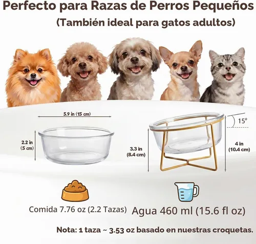 Vista 2 de Cuenco elevado de vidrio pequeño inclinado para gatos y perros, plato elevado para comida para gatos, plato de agua para mascotas, cuencos