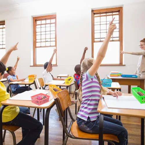 Vista 6 de 24 cestas pequeñas de plástico coloridas para el aula, 12 unidades de 10 x 3 x 2.5 pulgadas, bandeja pequeña para lápices, 12 bandejas organizadoras