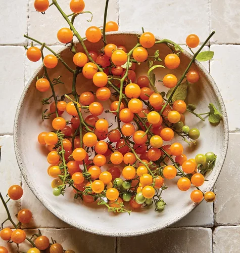 Vista 9 de Burpee Napa Grape - Semillas de tomates uva, 30 semillas