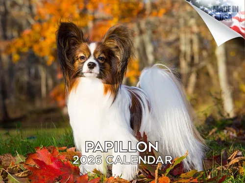 Vista 63 de Calendario de Lebrel Afgano 2025 2026, calendario mensual de pared de raza canina, 12" x 18" abierto, papel grueso sin traspaso, ideal para regalo