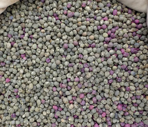Vista 3 de Blondy Okra Seeds para plantar, 1 paquete 25 semillas Reliquia y sin OMG