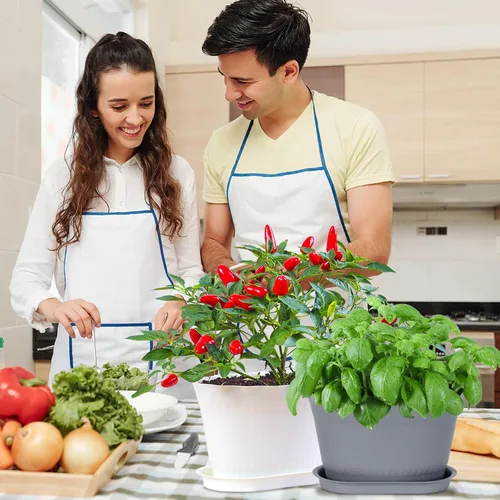 Vista 6 de Oliz Macetas de hierbas, 6 unidades, jardinera de ventana, macetas para plantas suculentas de cactus con bandejas, para decoración del hogar Blanco