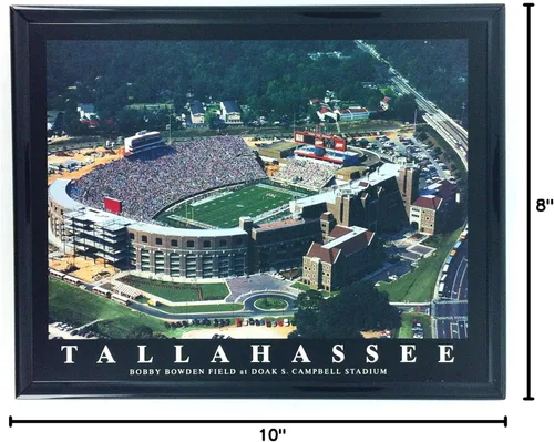 Vista 2 de Marco Florida State Bobby Bowden Doak Campbell Estadio Impresión Aérea F7569A