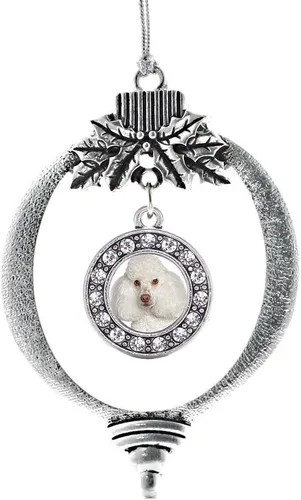 Vista 176 de Inspired Silver - Adorno de cromosoma 21 con dije de círculo de plata con joyas de circonita cúbica