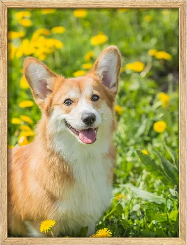 Vista 8 de NWT - Fotografía personalizada sobre lienzo con diseño de mascota y animal