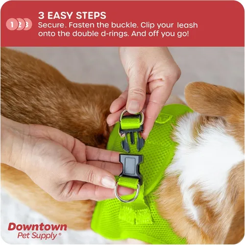 Vista 126 de Downtown Pet Supply Arnés para perro Step-in – Sin tirones, malla acolchada ajustable con ribete reflectante, correa de hebilla segura – Arnés