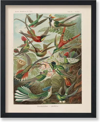Vista 8 de Poster Master Póster vintage de James Audubon – Impresión retro de amargo americano – Arte de aves de América – Regalo para hombres, mujeres