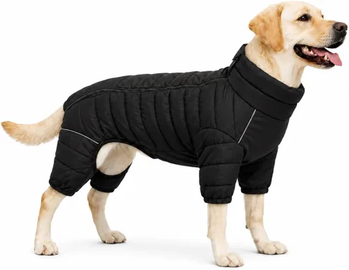 Vista 51 de Suéter para Perro ArmyGreen, Resistente al Viento, Reflectante - Chaqueta de Invierno Dirigible para S, M, L - Cremallera, Tallas Ajustables Verde
