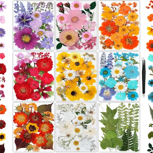 Vista 9 de 150 piezas de flores prensadas para manualidades, flores secas coloridas para manualidades, flores secas prensadas naturales reales, hojas secas a