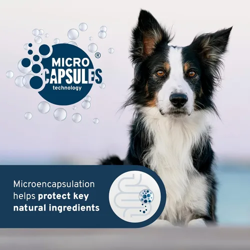 Vista 4 de Forza10 - Alimento húmedo para perros Dermo para picazón en la piel