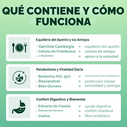 Vista 2 de GLP-1 - Gomitas de apoyo – Suplemento de control del apetito y antojo sin azúcar con berberina, canela, cúrcuma, garcinia y cetonas de frambuesa