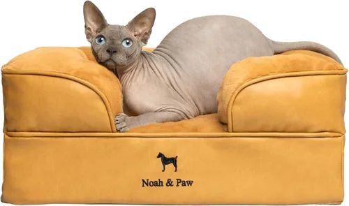 Vista 32 de NOAH & PAW Cama para perros pequeños, 20 x 15 x 8 pulgadas, cama para gatos de interior, espuma viscoelástica ortopédica de cáscara de huevo
