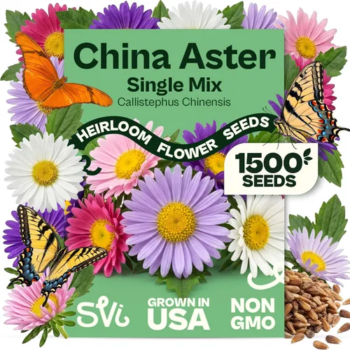 Vista 36 de Queen Anne 's Lace- 200 semillas – 50% de descuento venta