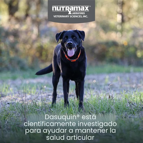 Vista 2 de Comprimidos masticables para articulaciones de perro Dasaquin (150 unidades) Tamaño de perro: Grande (60+ lbs)