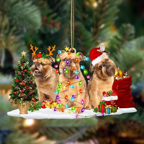 Vista 73 de Nazenti Adorno de Navidad personalizado con amigos Affenpinscher – Adorno de perro personalizado para amantes de las mascotas, acrílico plano