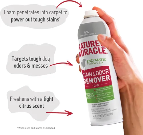 Vista 6 de Nature's Miracle Aerosol espumoso removedor de manchas y olores para perros, 17.5 onzas (P-68340)