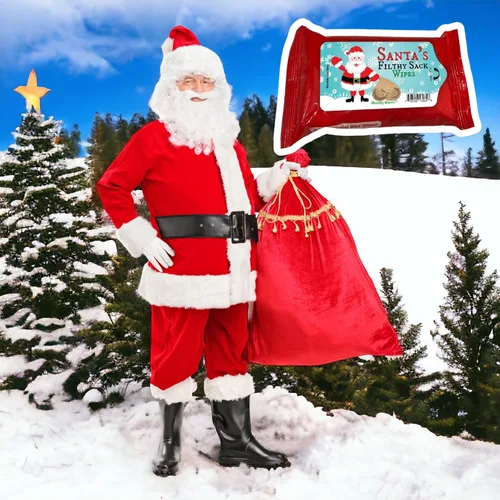 Vista 2 de Santa's Filthy Sack Wipes - Toallitas húmedas navideñas para amigos, tamaño de bolsillo, sin alcohol