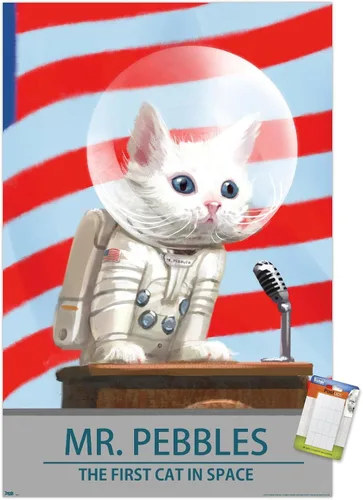 Vista 12 de Trends International Fallout 4 - Póster de pared de Mr. Pebbles - El primer gato en el espacio, 14.72 x 22.37 pulgadas, versión enmarcada de madera