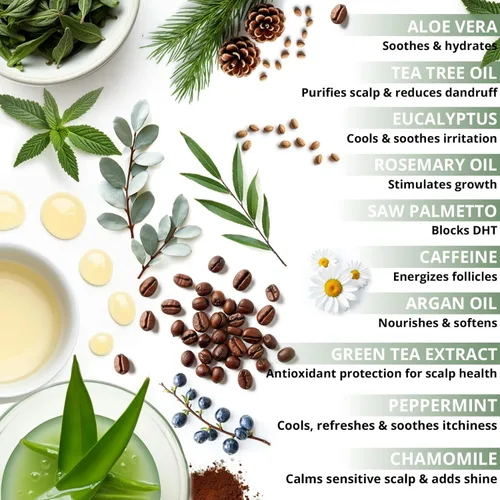 Vista 4 de Champú de cafeína sin sulfato de árbol de té y eucalipto, prevención de alopecia y bloqueador de DHT. Champú contra la pérdida