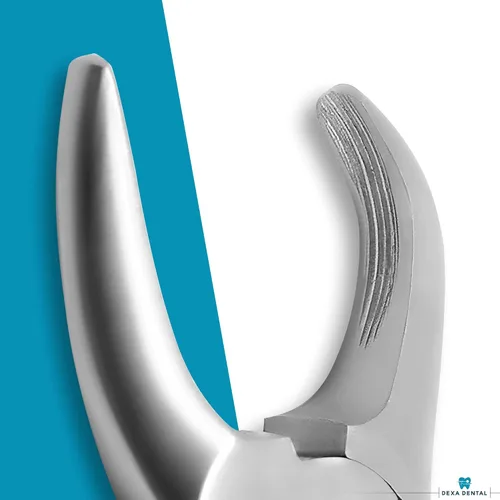 Vista 6 de Raspador de dientes para eliminar cálculos, pinza tártara, veterinario dental perro PET canino A+, instrumento de calidad, 4.5 pulgadas