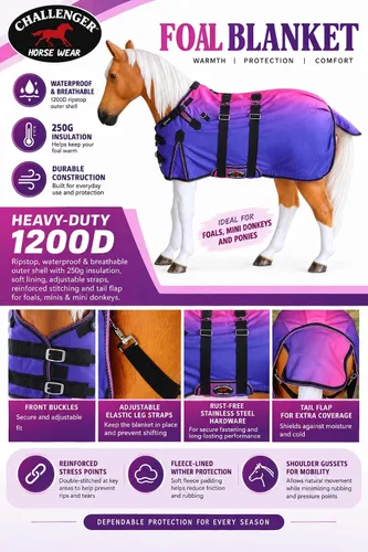 Vista 2 de CHALLENGER 1200D Foal Winter Blanket Miniature Pony Donkey Bellyband Turquoise Rustic Púrpura Rosa Ombre
