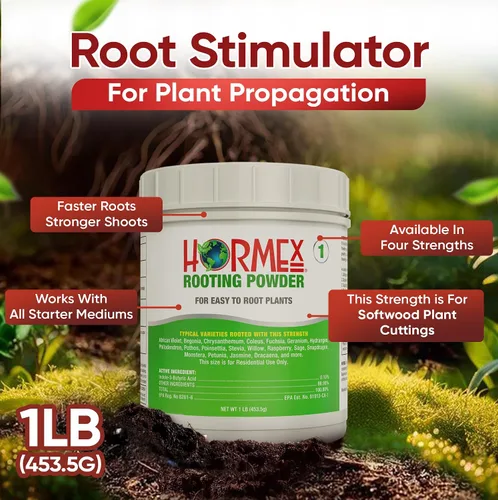 Vista 2 de Hormex Polvo de enraizamiento #1 (0.10 IBA): hormona de enraizamiento para plantas de interior delicadas, hierbas de jardín y esquejes suculentos