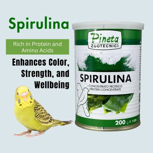 Vista 2 de PINETA Spirulina en polvo orgánico 7.05 oz – Suplemento de espirulina para aves canarias y granívoras – 100% natural, suplemento de apoyo