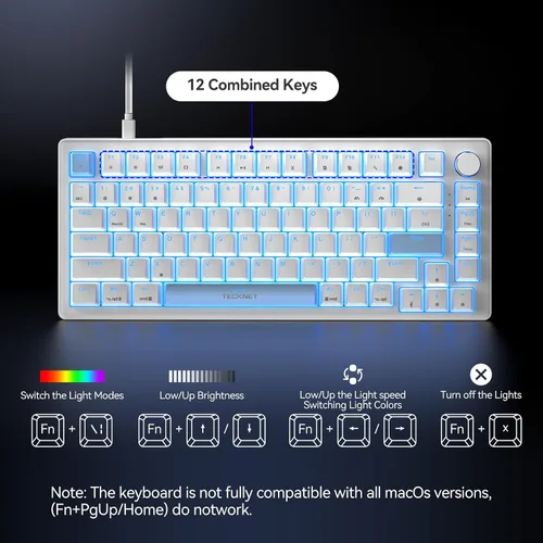 Vista 3 de TECKNET Teclado para juegos con cable, retroiluminación RGB 65% teclados con estructura de junta, teclado mecánico USB C tiene 20 efectos