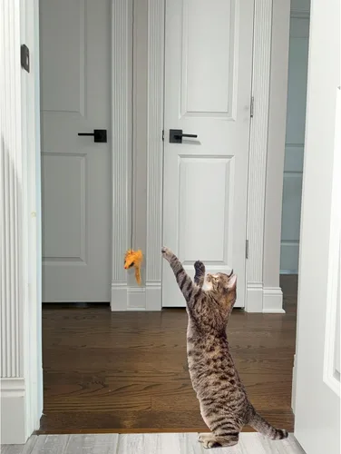 Vista 7 de SPOT A-Door-Able - Juguete interactivo para gatos con sonajero colgante y hierba gatera, entretiene a los gatos durante horas, disfruta