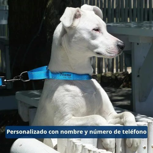 Vista 2 de Collar de martingala personalizado para perros con hebilla de liberación rápida - Collar reflectante de nailon con nombre y número de teléfono