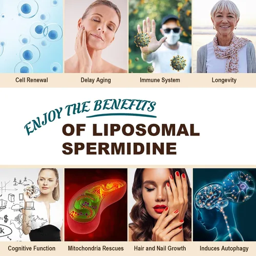 Vista 7 de Suplemento de espermidina de 15 mg – 99% de pureza, alta absorción, 1500 mg de extracto de germen de trigo fermentado con zinc y tiamina