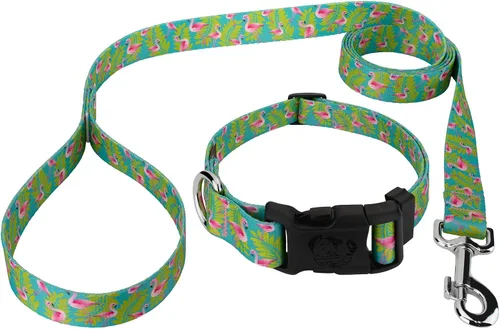Vista 10 de Country Brook Petz - Collar y correa de perro de dinosaurios de lujo - Colección Critter Corner con diseños temáticos de criaturas (1/2 pulgada, 2XS)