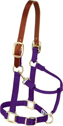 Vista 15 de Weaver Equine Breakaway Horse Halter, Supple Leather Crown, Adjustable Brass Throat Snap Halters for Horses, Equine Tack