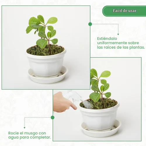 Vista 4 de YUNVI Musgo artificial de gran capacidad de 10.5 onzas para plantas en maceta, hierba de musgo artificial natural para plantas