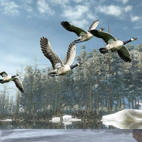 Vista 7 de Cabela's Outdoor Adventure '10 - Playstation 3