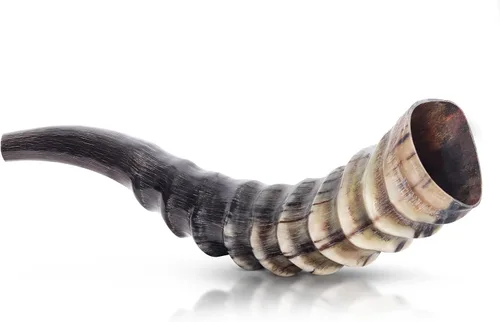 Vista 2 de HalleluYAH Blesbok Horn Shofar - Juego completo de 8 a 10 pulgadas Hecho a mano en Israel