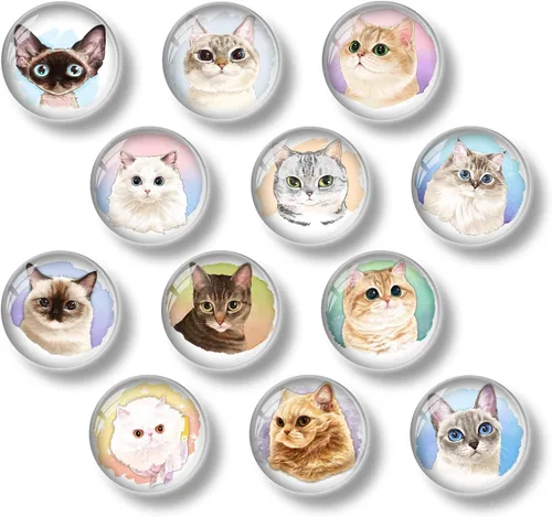 Vista 6 de 12 imanes de cristal para nevera, lindos gatos, imanes decorativos para refrigerador, para cocina, oficina, pizarra, gabinete y lavavajillas