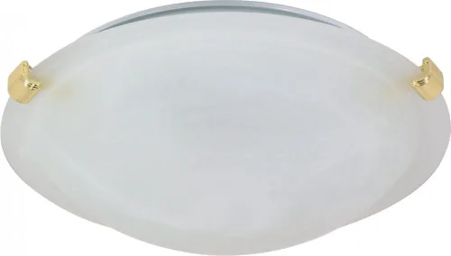 Vista 5 de NUVO 60/270 Montaje de una luz, empotrado medio Medio Flush
