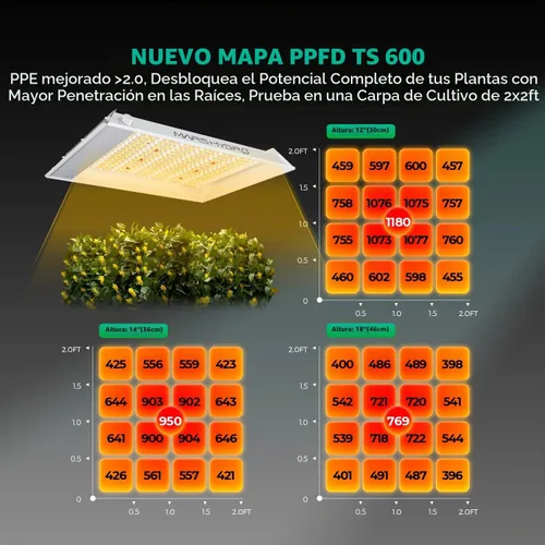 Vista 4 de MARS HYDRO TS600 - Luces LED regulables para plantas de interior (100 W, 2 x 2 pies)