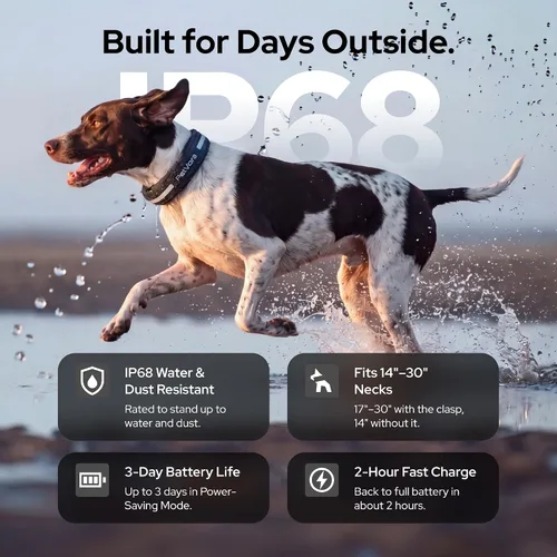 Vista 9 de Collar inteligente GPS para perro, seguimiento en tiempo real