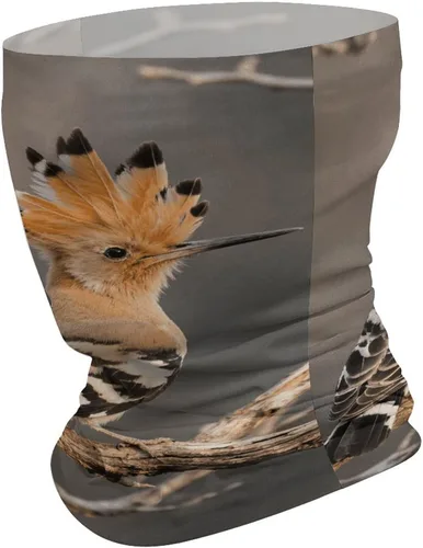 Vista 2 de Hoopoe Neck Gaiter Breathable & Moisture-Wicking Face Mask Bandana Balaclava Sun Protection Face Cover Scarf Lightweight Seamless Design for Outdoor