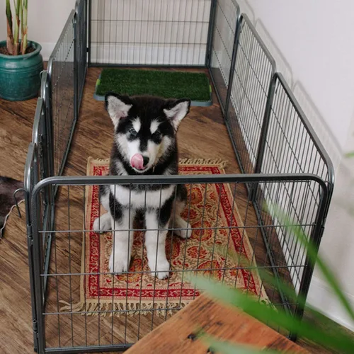Vista 6 de Paws & Pals Perrera de alambre para perros – corral de ejercicio para perros y gatos al aire libre – Puerta de tubo con puerta